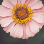 红领巾爱学习:在知识的海洋中扬帆起航的青春梦想 3wv4lalv