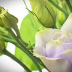 畅享无限视听盛宴:olevod欧乐影院app全面解析 8bbzjn624