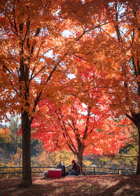 纤纤影视理论xinxin104 5.0 剧情介绍：探讨人性与情感交织的精彩故事