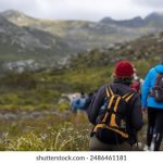 红桃视频在线电影观看:畅享最新热门影片,尽在红桃平台! 995iq237