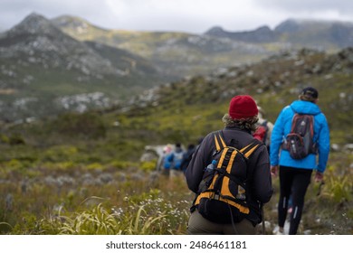 红桃视频在线电影观看：畅享最新热门影片，尽在红桃平台！