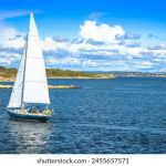 畅享无限乐趣:推荐几款免费的万能播放器 d1z0iu291