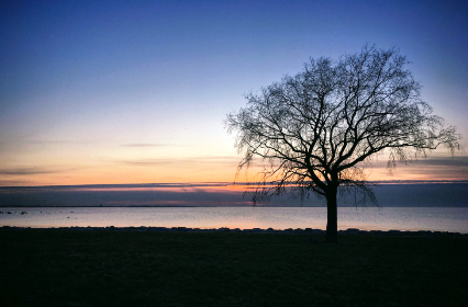 畅享幸福都市：漫画在线免费观看的最佳平台推荐
