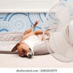 绅士之庭网站投诉渠道:如何有效反馈问题与维护权益 m1uhm14u