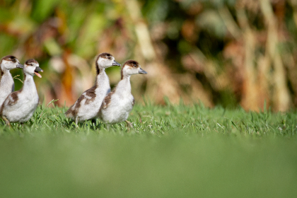 畅享无弹窗阅读体验，海棠文学城小说网精彩小说推荐