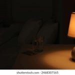 畅享小熊影视下载,海量影视资源随心看 sn3yi3