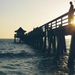 纤纤电影xinxin 98:探索青春与梦想交织的银幕世界 srgtdx