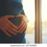 红领巾爱学习第七季完整答案解析与学习指南 u38awc2