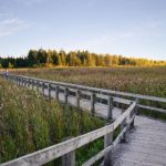 畅享无广告免费在线观看电影网站推荐与评测 u8uvt36