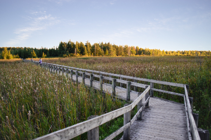 畅享无广告免费在线观看电影网站推荐与评测