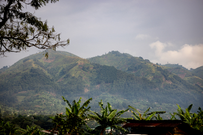 畅享天仙TV导航电影，探索无限精彩影视世界
