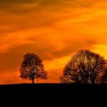 畅享御书屋:免费在线阅读海量自由小说 vfflsmd9m